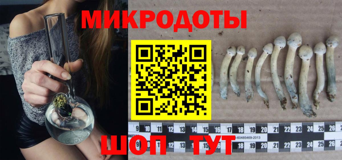 Королёв  Галлюциногенные грибы Psilocybe  Вход с VPN 